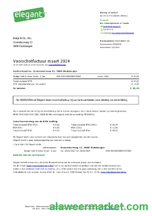 Belgium Elegant business utility bill Word and PDF template